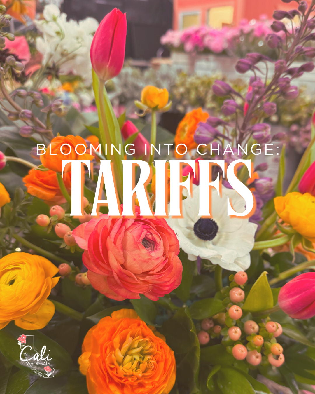🌸 Tariff Talk: What’s Changing & What It Means for You!