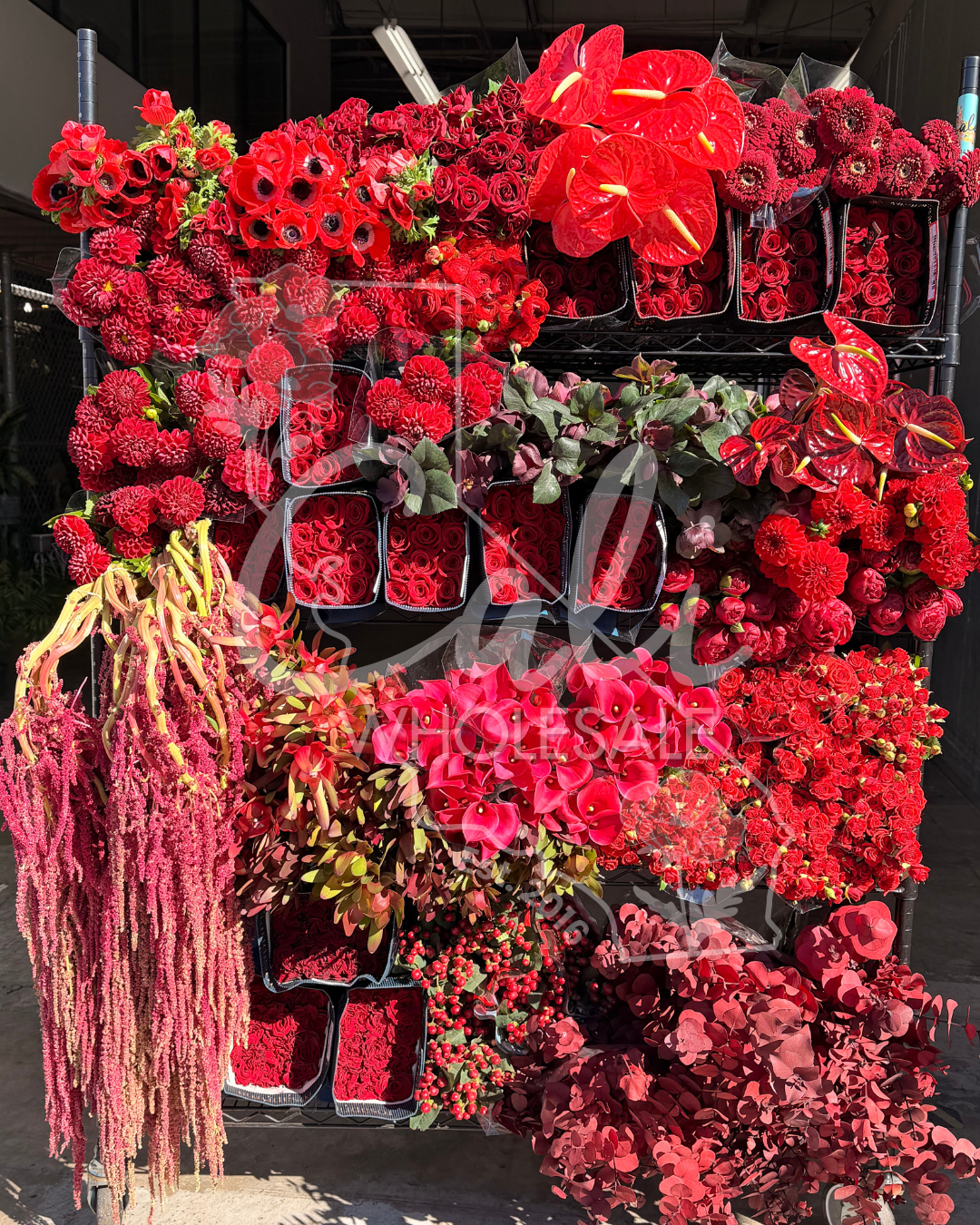 This Week’s Valentine Flower Pulls at Cali Wholesale Flowers: Hot Stems, Zero Chill