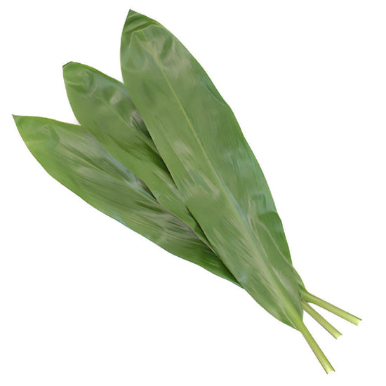 Ti Leaf